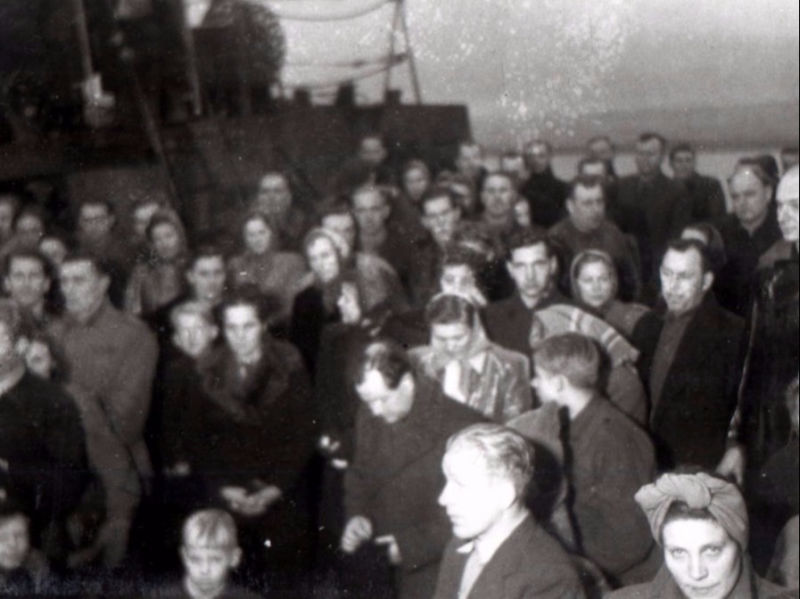 Walnut passengers Sligo Ireland