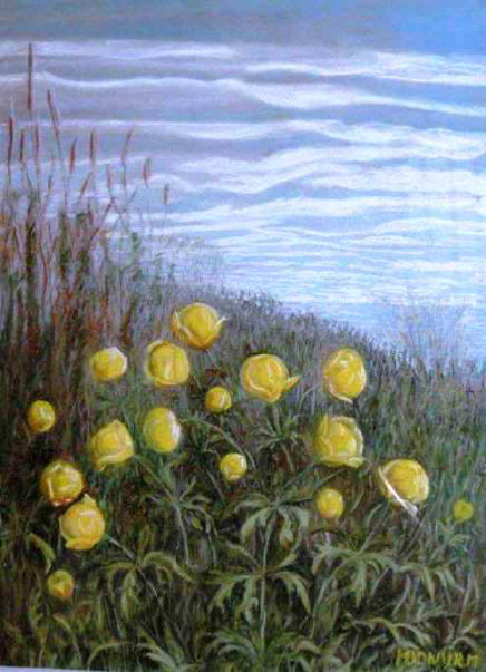 Idnurm painting GlobeFlower