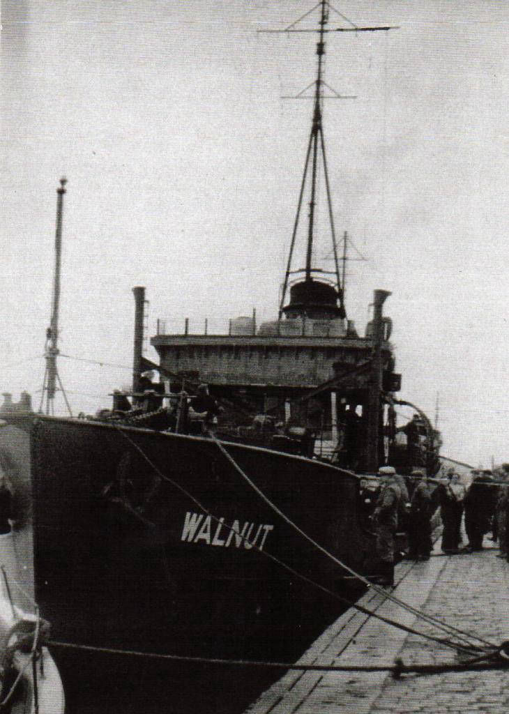 Walnut ship